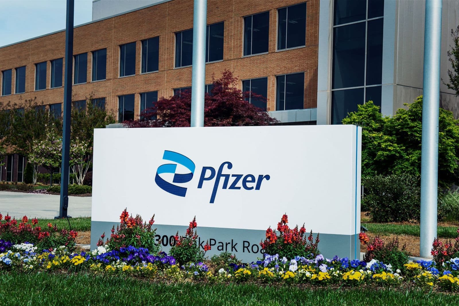 社会招聘| Pfizer China