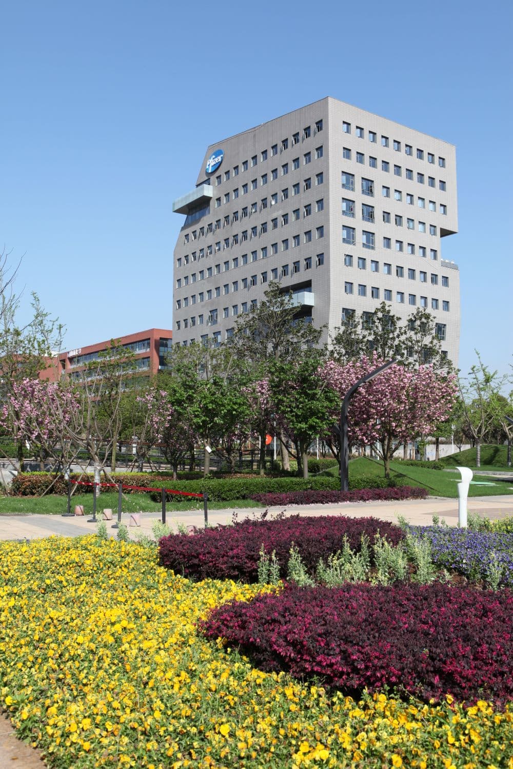 Pfizer China Overview | Pfizer China